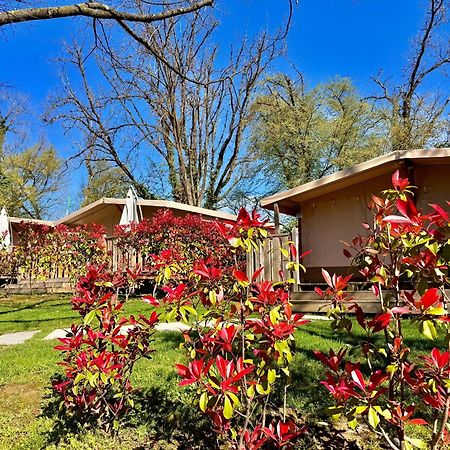 Campeggio Europa Silvella サン・フェリーチェ・デル・ベナーコ エクステリア 写真 The garden of the hotel
